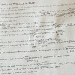 Knowledge drill 6-3 true/false activity