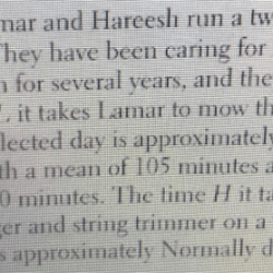 Lamar and hareesh run a two-person