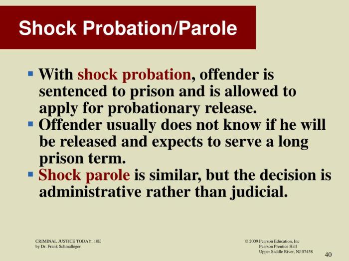 Shock probation in felony convictions