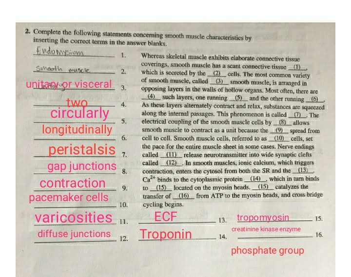 Which of the following statements about social roles is correct