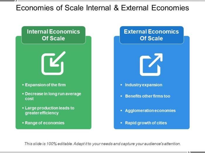 Diseconomies economies definition