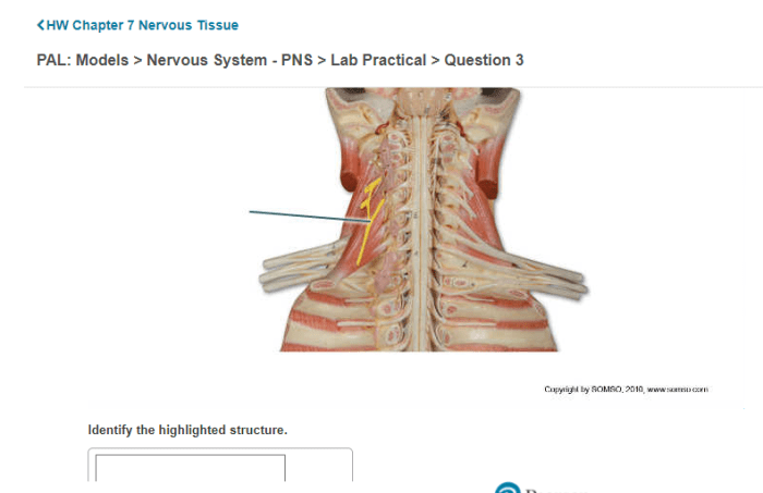 Highlighted transtutors